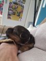 Vorschaubild 8