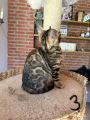Vorschaubild 6
