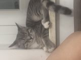 Vorschaubild 3