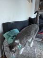 Vorschaubild 5
