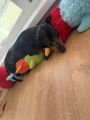 Vorschaubild 6