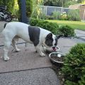 Vorschaubild 7