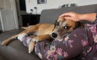 Vorschaubild 3