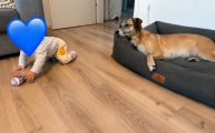 Vorschaubild 4