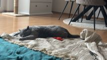 Vorschaubild 4