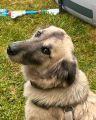 Vorschaubild 9