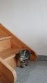 Vorschaubild 4