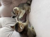 Vorschaubild 3