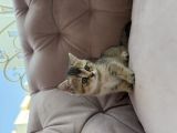 Vorschaubild 5
