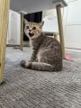 Vorschaubild 1