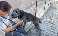 Vorschaubild 2