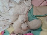 Vorschaubild 9