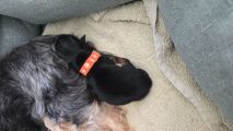 Vorschaubild 2