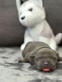 Vorschaubild 8
