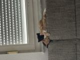 Vorschaubild 8