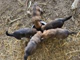 Vorschaubild 7