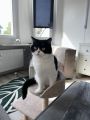 Vorschaubild 10