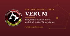 Vorschaubild 7