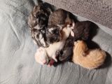 Vorschaubild 2