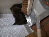 Vorschaubild 8