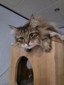 Vorschaubild 7