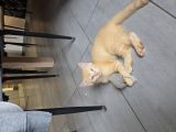 Vorschaubild 3