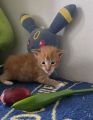 Vorschaubild 3
