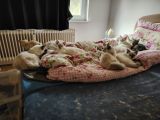 Vorschaubild 4