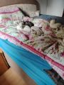 Vorschaubild 6