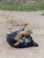 Vorschaubild 2