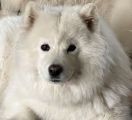 Vorschaubild 6