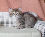 Vorschaubild 6