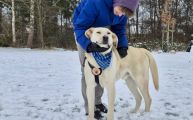 Vorschaubild 4