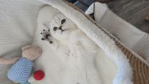 Vorschaubild 8