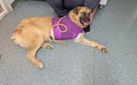 Vorschaubild 5