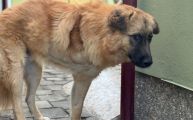 Vorschaubild 7