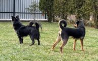Vorschaubild 4