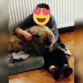 Vorschaubild 7