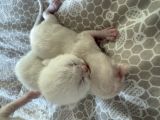 Vorschaubild 2