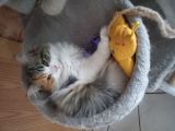 Vorschaubild 1