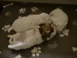 Vorschaubild 5