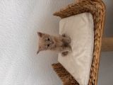 Vorschaubild 3