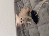 Vorschaubild 6