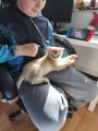 Vorschaubild 6