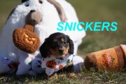 Vorschaubild 9