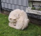 Vorschaubild 4