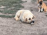 Vorschaubild 4