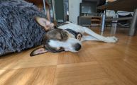 Vorschaubild 2
