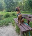 Vorschaubild 3