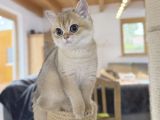 Vorschaubild 4